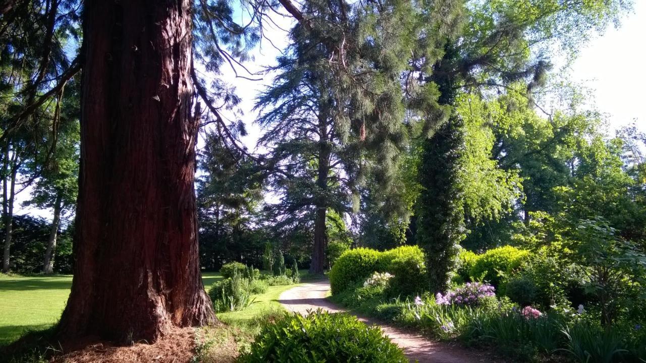 Château De La Vernède Couette-café Saint-Rémy-de-Chargnat